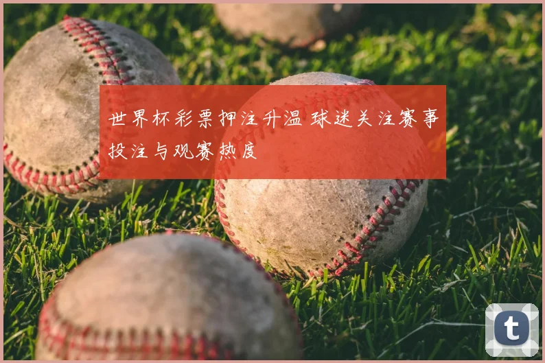 世界杯彩票押注升温 球迷关注赛事投注与观赛热度