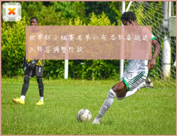 世界杯小组赛名单公布 各队备战进入阵容调整阶段