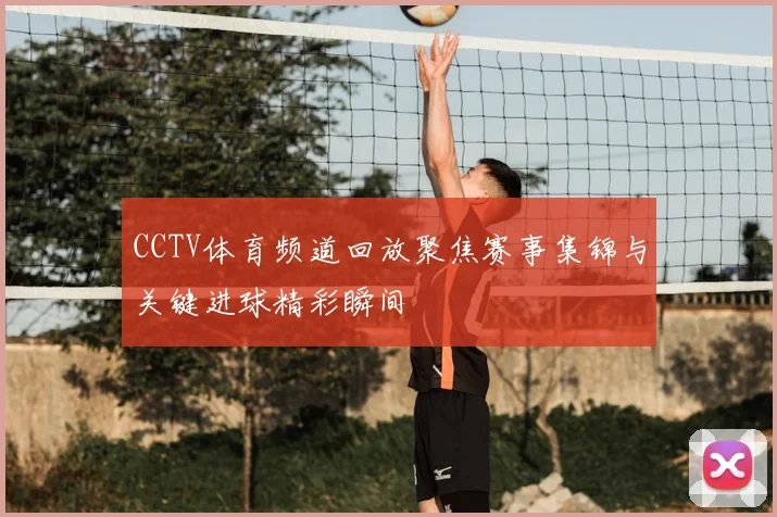 CCTV体育频道回放聚焦赛事集锦与关键进球精彩瞬间