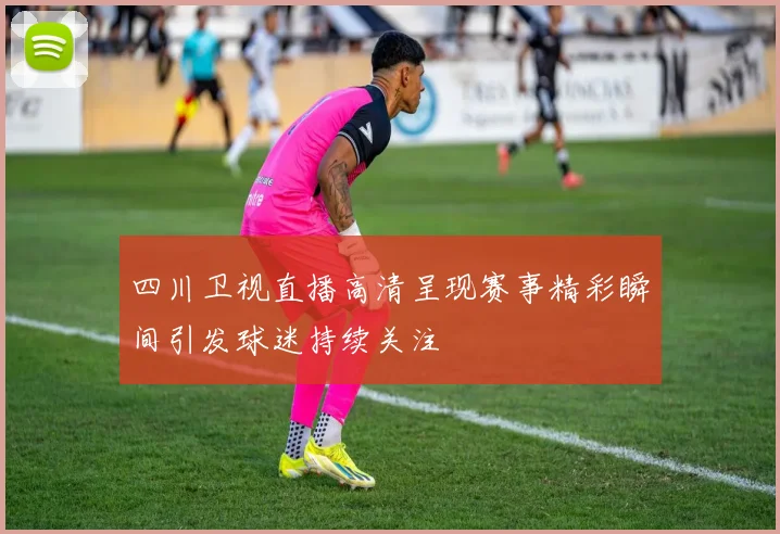 四川卫视直播高清呈现赛事精彩瞬间引发球迷持续关注