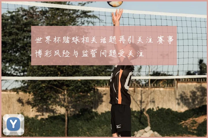 世界杯赌球相关话题再引关注 赛事博彩风险与监管问题受关注