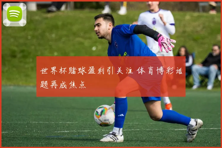 世界杯赌球盈利引关注 体育博彩话题再成焦点