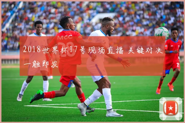 2018世界杯17号现场直播 关键对决一触即发