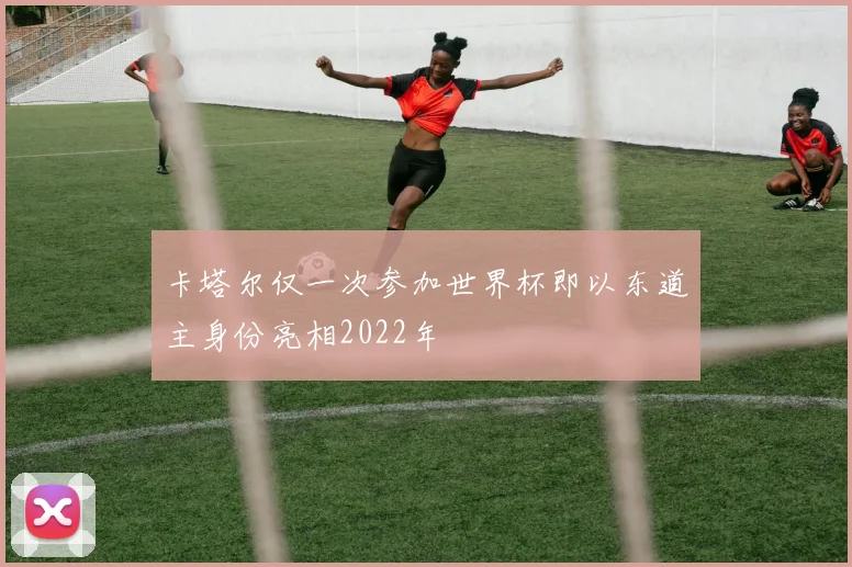 卡塔尔仅一次参加世界杯即以东道主身份亮相2022年