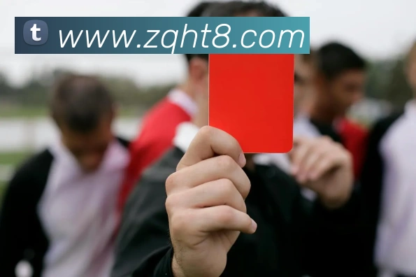 世界杯开户平台平台生态图