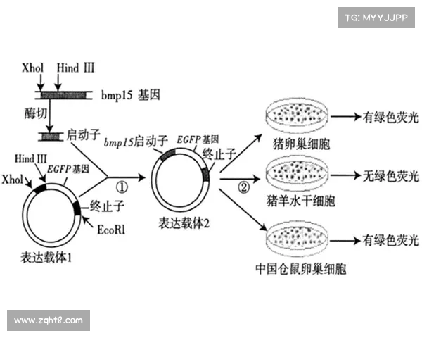 冰虫鳞片结构解析与生物材料应用前景探索