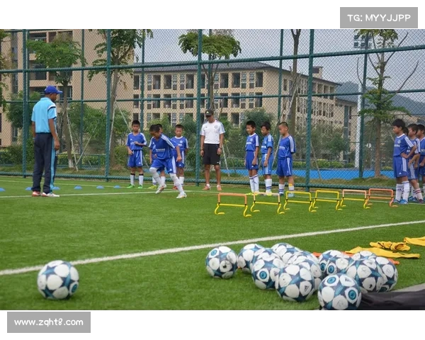 如何深入了解并欣赏普罗旺斯本纳赛尔的足球生涯与卓越成就